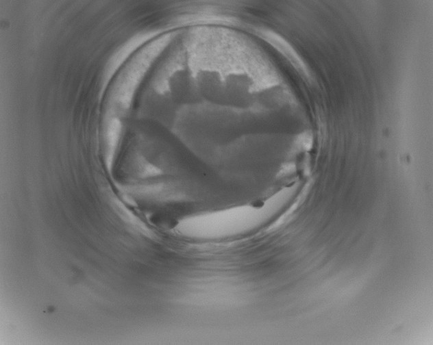 X0000076311244200610271931