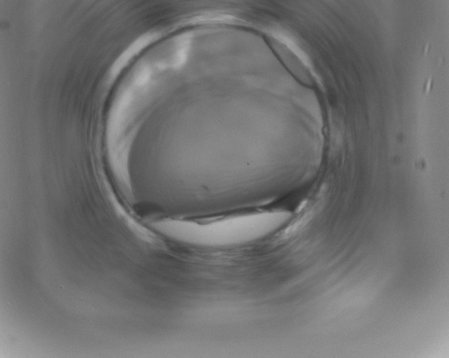 X0000076311245200610271931