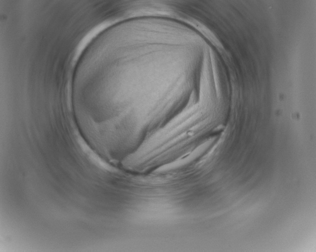 X0000076311246200610271931