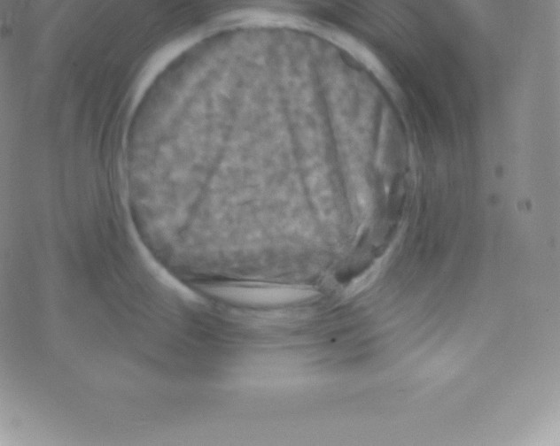 X0000076311247200610271931