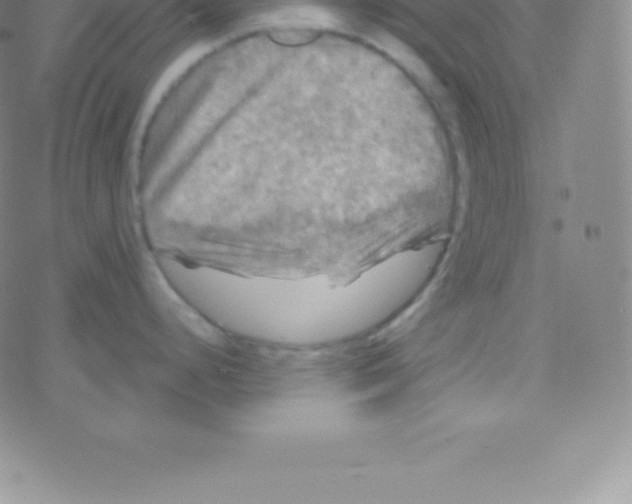 X0000076311248200610271931