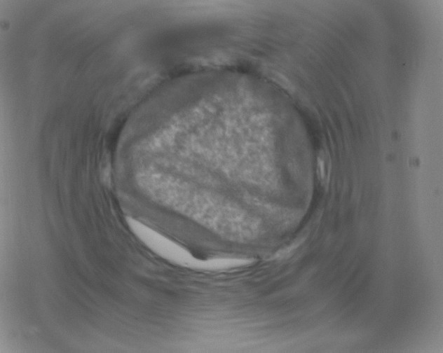 X0000076311251200610271930