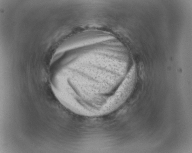 X0000076311253200610271930