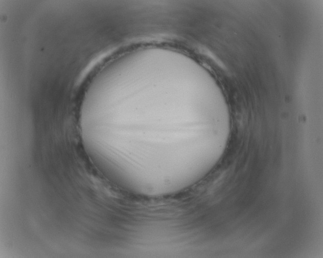 X0000076311256200610271930