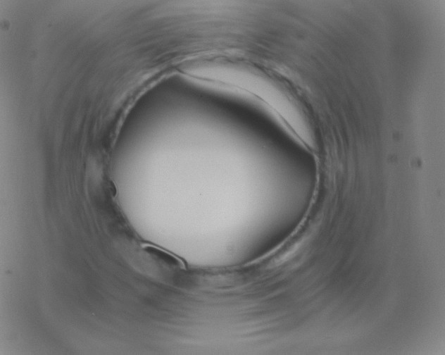 X0000076311257200610271930