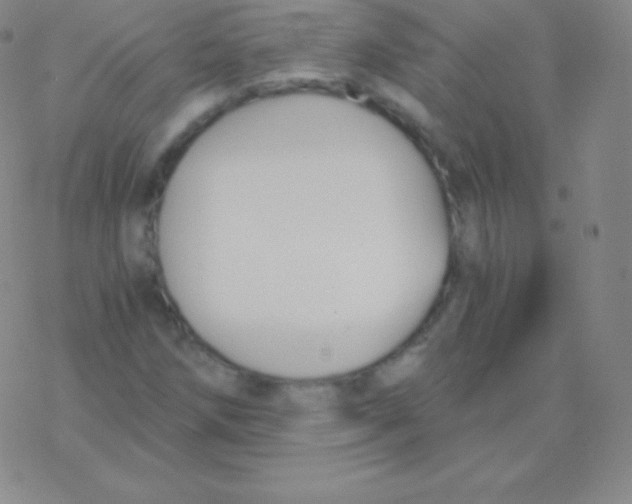 X0000076311258200610271930