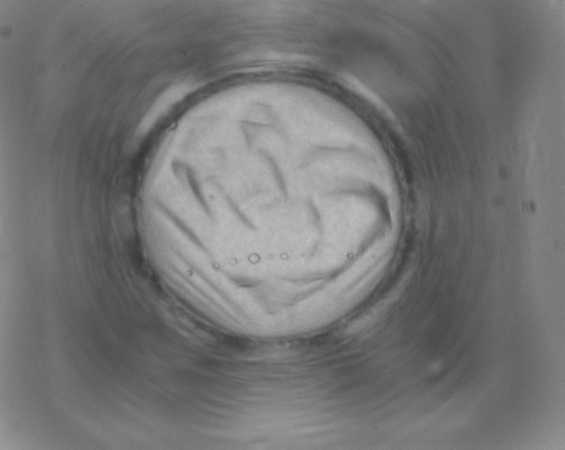 X0000076311259200610271930