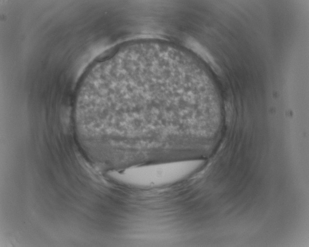 X0000076311260200610271930