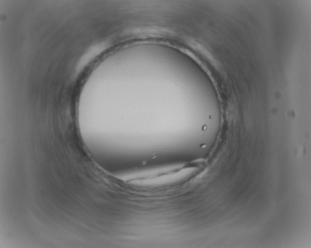 X0000076311261200610271930