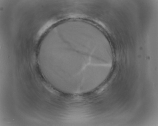 X0000076311263200610271930