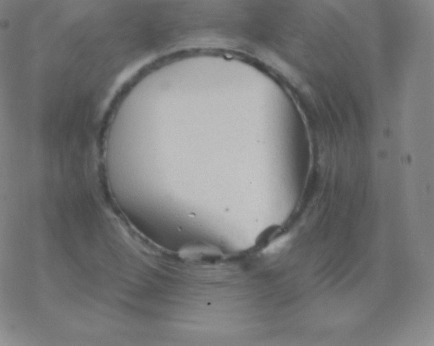 X0000076311264200610271930