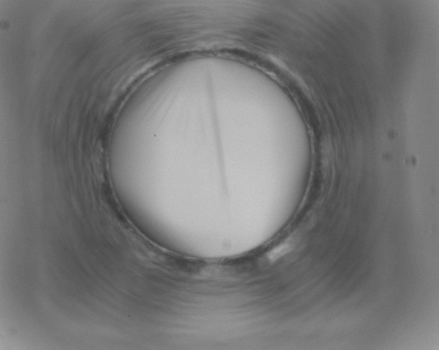 X0000076311265200610271930