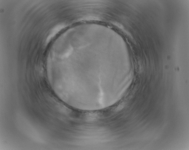 X0000076311266200610271930