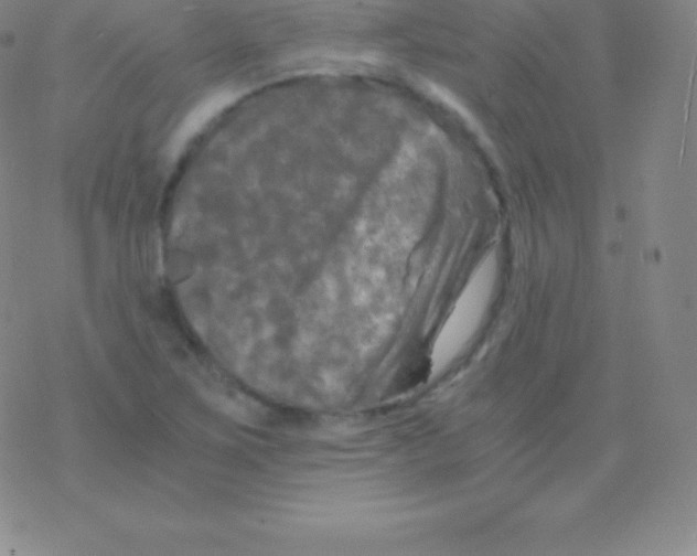 X0000076311267200610271930