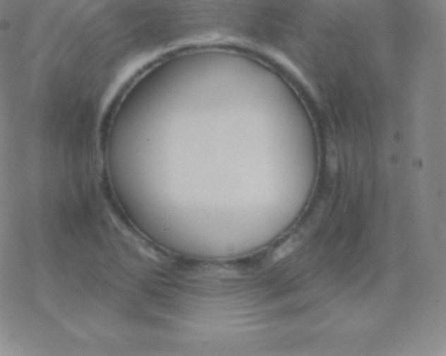 X0000076311270200610271930