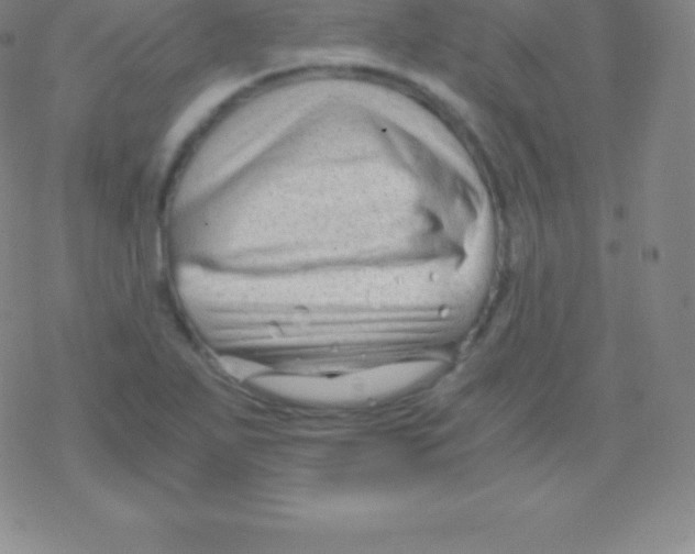 X0000076311271200610271930