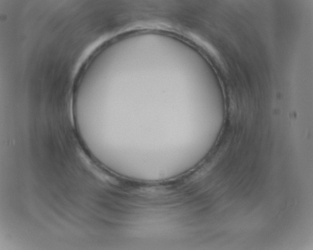 X0000076311272200610271930