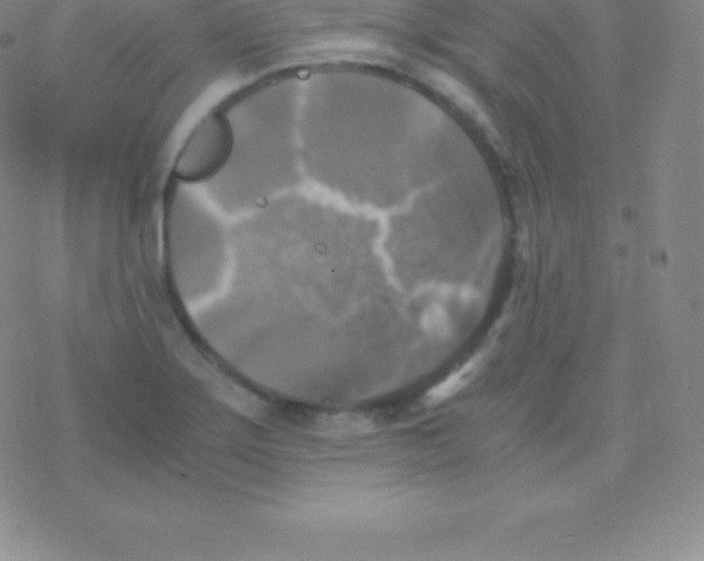 X0000076311275200610271930