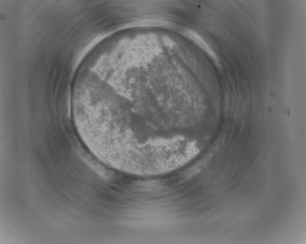 X0000076311276200610271930