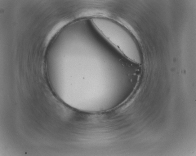 X0000076311277200610271930