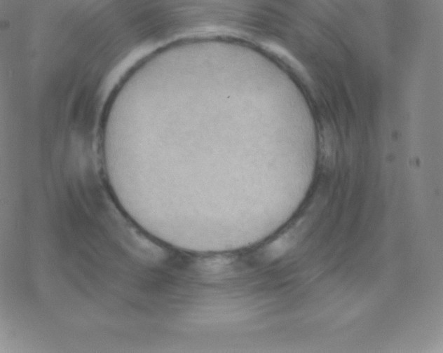 X0000076311278200610271930