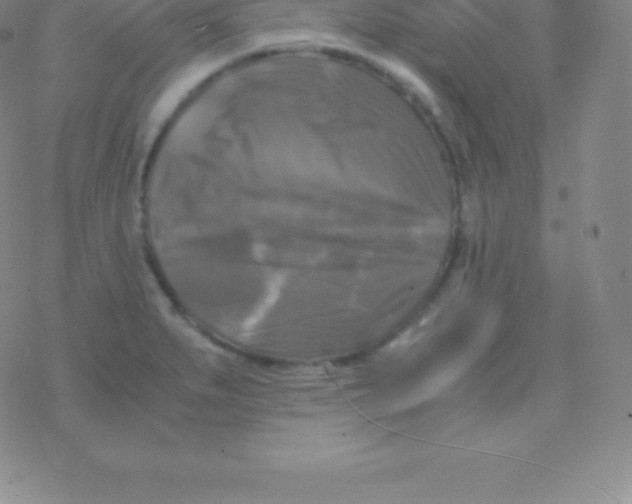 X0000076311279200610271930