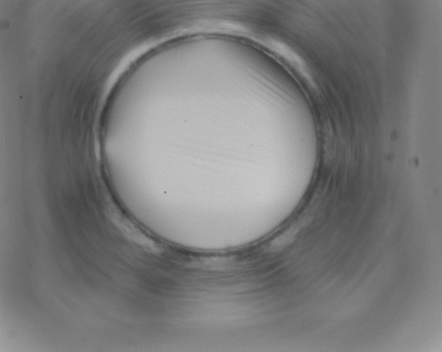 X0000076311280200610271930