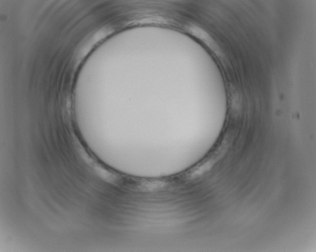 X0000076311282200610271930