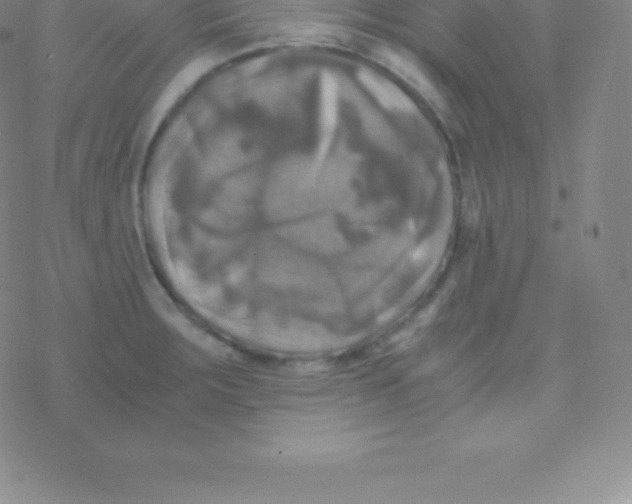 X0000076311283200610271930