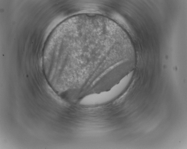 X0000076311284200610271930