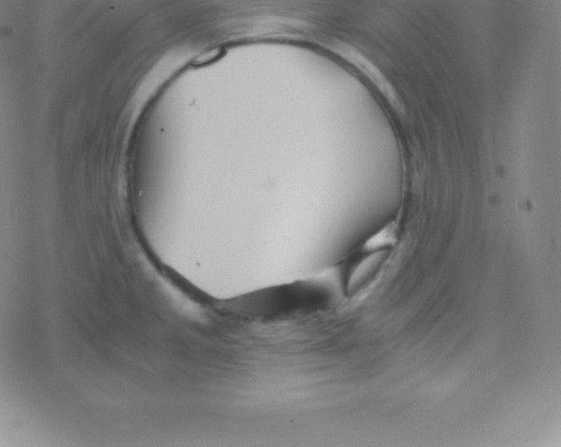 X0000076311285200610271930