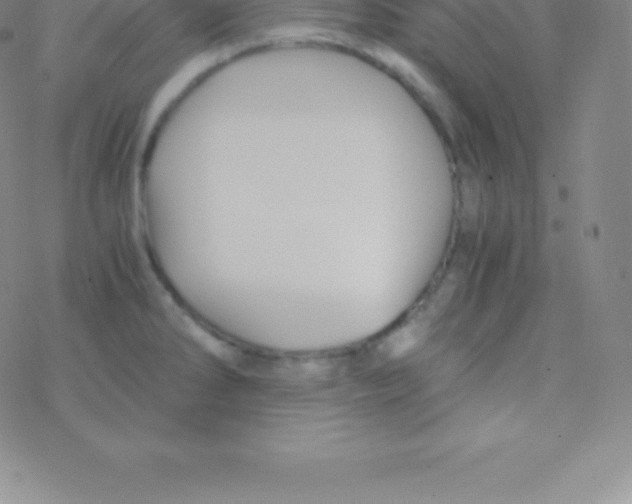 X0000076311286200610271930