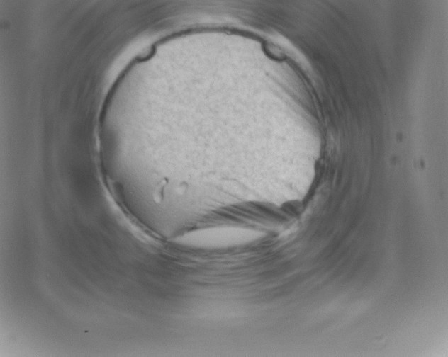 X0000076311287200610271930