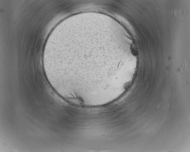 X0000076311288200610271930