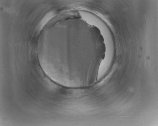 X0000076311289200610271930