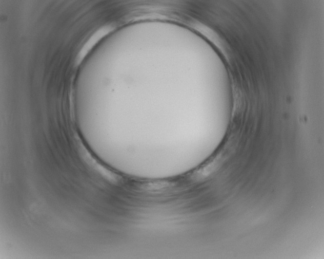 X0000076311290200610271930