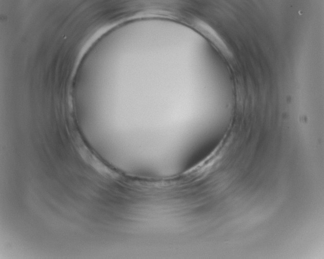 X0000076311292200610271930