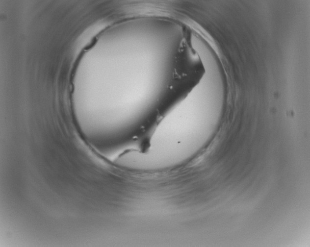 X0000076311293200610271930