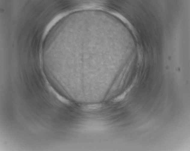 X0000076311294200610271930