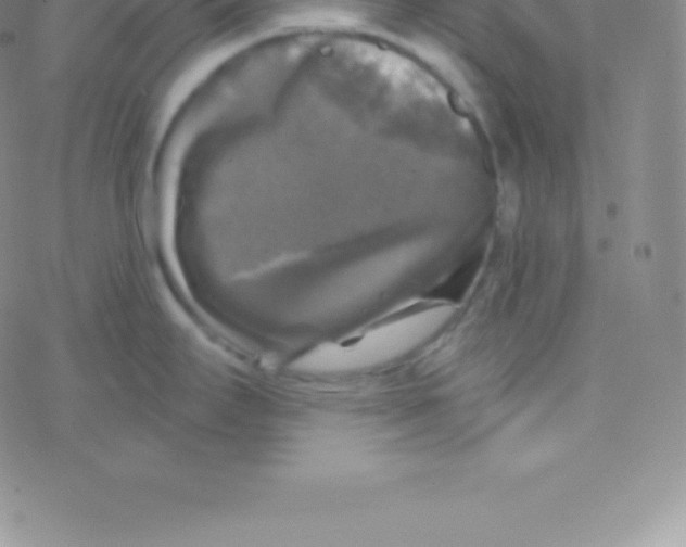 X0000076311295200610271930