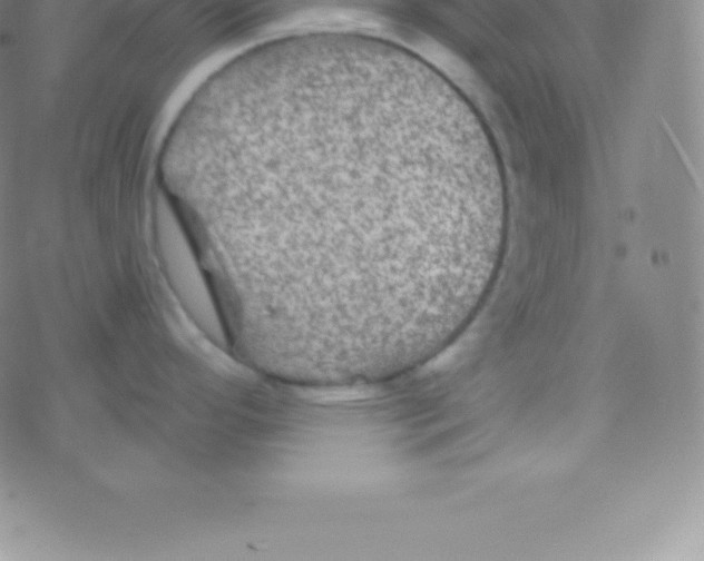 X0000076311296200610271930