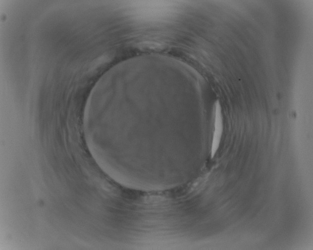 X0000076311297200610271929