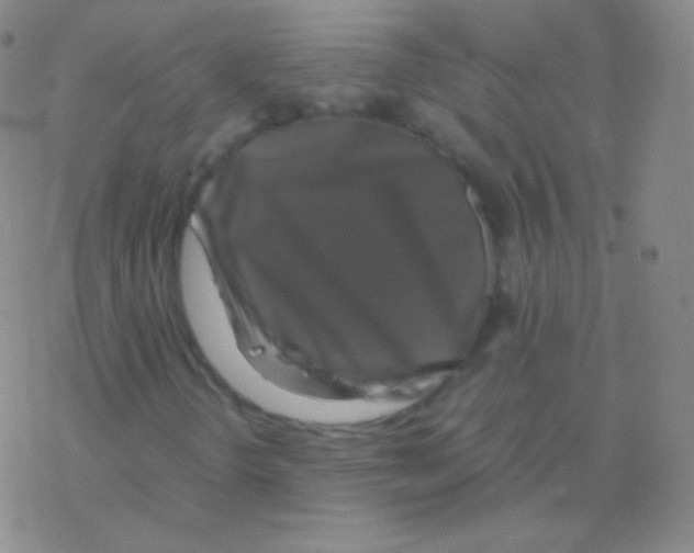 X0000076311298200610271929