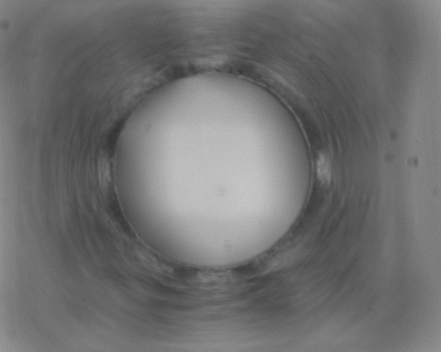 X0000076311299200610271929