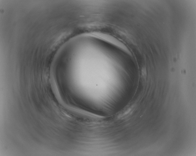 X0000076311300200610271929