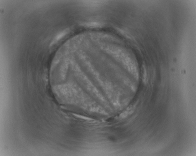 X0000076311301200610271929