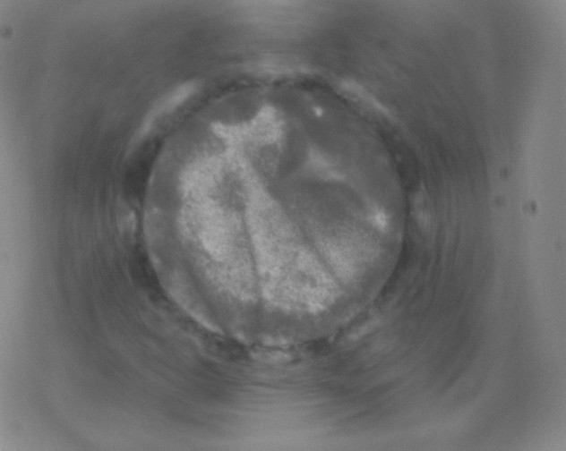 X0000076311302200610271929