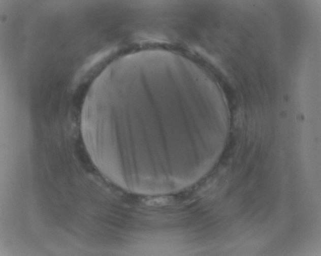 X0000076311303200610271929