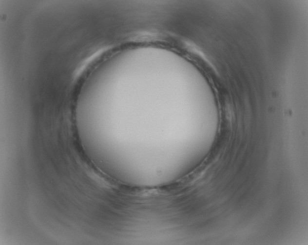 X0000076311304200610271929