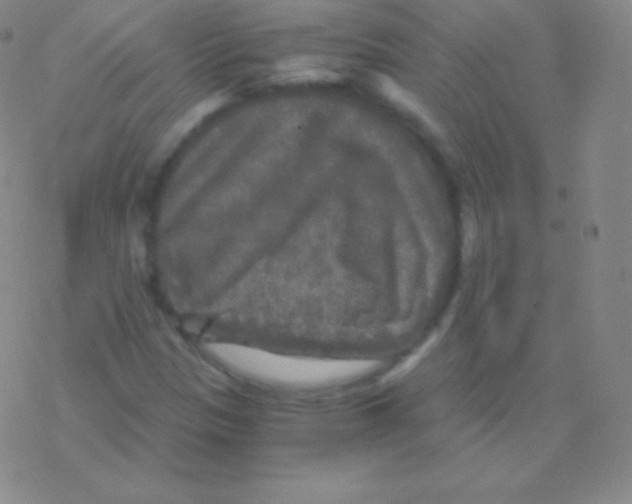 X0000076311305200610271929